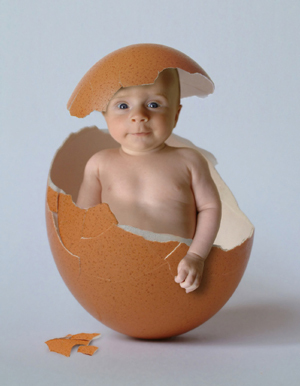 baby-egg-crack1.jpg