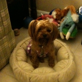 amysaprincess's profile picture. Remaining committed to a life full of lollipops, unicorns and rainbows.