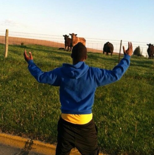 KTrowerPower's profile picture. Plateau of Integrity. Zero tolerance on the sides. Power is the ability to get results. #BJJ #Hennessyandpancakes
