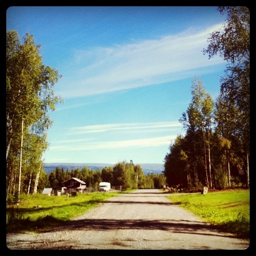 907alaskangirl's profile picture. Alaska born and raised. I'm just a girl who loves Jesus, family, & her home state. I'm a little bit redneck & a lot sarcastic. Hate the city, love the country.