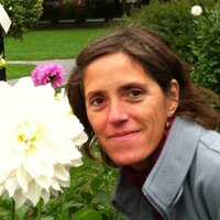 Rachelle Bergeron (@rjbergeron) 's Twitter Profile