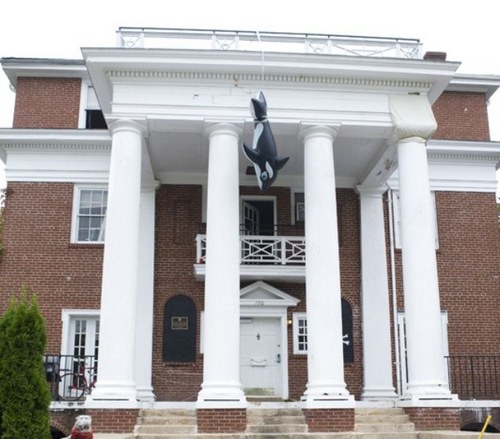 SPEghost's profile picture. The ghost of SPE past