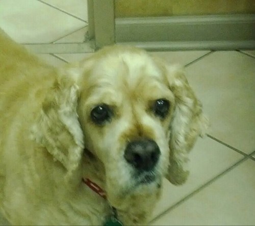 timstob's profile picture. 