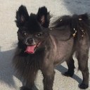 Adam Hopper - @Chazzwazzas - Twitter