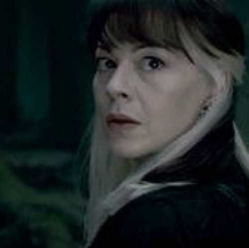 SexyEvilBitch's profile picture. Nicest of the Malfoys. Pureblood. In love with Lucius. Draco Waco is my Little Boy.