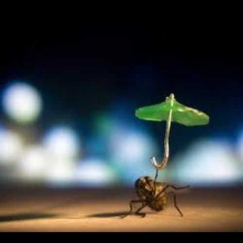 peytonlist10's profile picture. follow me