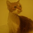 Daniel Wiegand - @dwiegand5 - Twitter