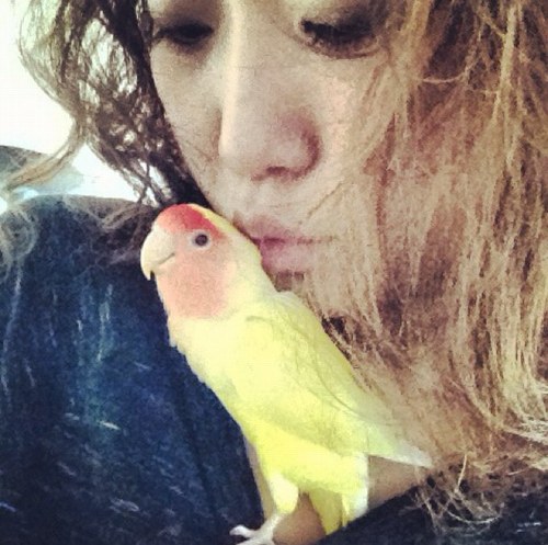 pecomaruiwasaki's profile picture. FUK🇯🇵→YYZ🇨🇦, working as a hairstylist in Toronto✂️ Favourite: exercise🏃‍♀️, fashion, pet (Moco🐶), 👦🏻3歳