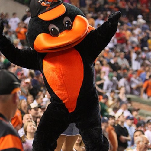 i am not the real Oriole Bird, that would be ridiculous.. Im just here to bring you orioles news and info from the mind of a superfan!