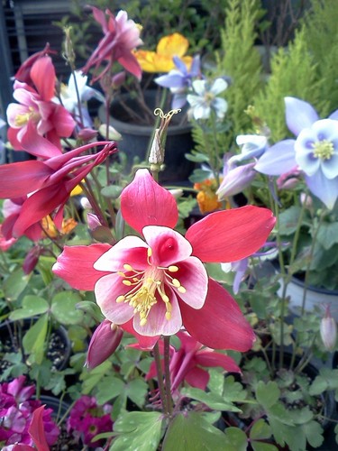 jeon1237's profile picture. 산수갑산에 인산인해를 이루는 곳에서 금상첨화를 만들고 싶은 욕망가