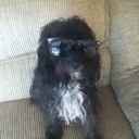 Andrew Valerio - @LeftMyGfForXBL - Twitter