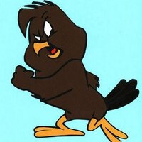Brad Van Skyhawk (@squawkhawk) 's Twitter Profile