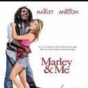 Cheryl Bird - @cheryldawnbird - Twitter