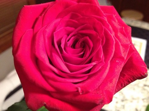 nightxdrive's profile picture. 