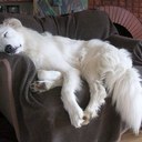 Bob Ballinger - @BallingerBob - Twitter