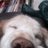 kamba0711's profile image