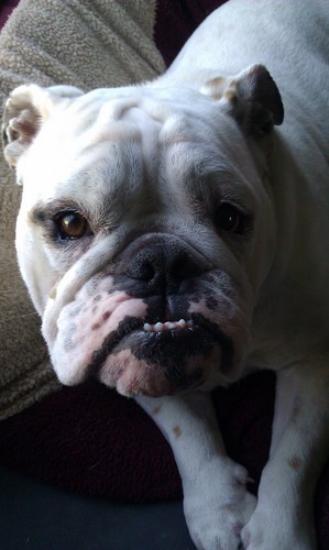 bpaneitz's profile picture. 