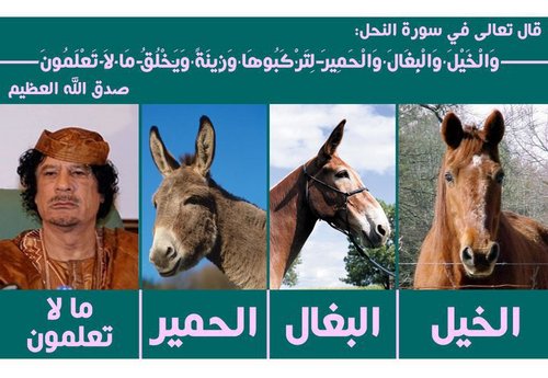 sweetsuzie3's profile picture. 