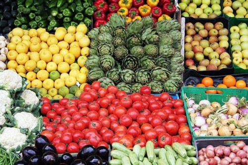 ProdutorRural's profile picture. Produtor Rural é o Agricultor que planta e colhe todos os tipos de Alimentos que Consuminos