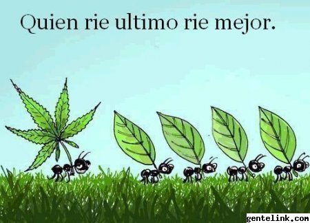 Slgcristobal's profile picture. Quien piensa en fracasar,ya fracaso antes de intentar.Quien piensa en ganar ya lleva un paso adelante.