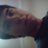 recobaos's profile image