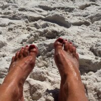 Lori Driggs (@loridriggs) 's Twitter Profile