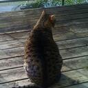 Echo Evans - @EchoEvans - Twitter