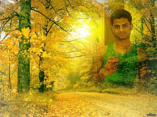 chadhadanish's profile picture. 