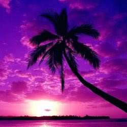 contessafolle's profile picture. Wife, Mom of 3, Puppy mom, RN, Beachbody Coach, Owl obsessed, Country Girl at heart, Total Contradiction...Life may be messy and a tad boring, but it's mine!