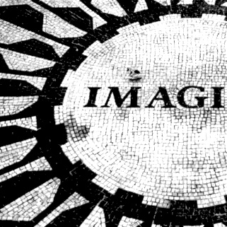 imagi Profile