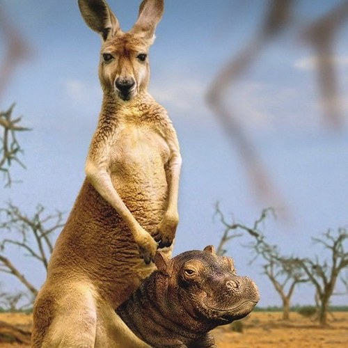 tger71's profile picture. 