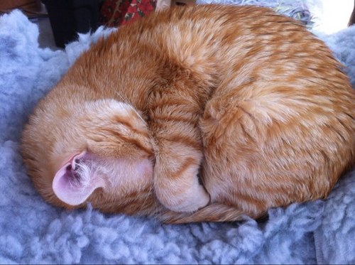 JimDeKoninck's profile picture. Conservative, Independent,
Retired FORD D/R Engineer
Mfg, Process, Consultant 
Senior Product Launch Engineer / ProtoType to Job ! + 90