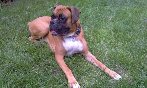 h00ked1's profile picture. Have an iPhone and the instagram app? Follow me @h00ked (o's are zeros) and like/comment on my photos and I'll follow you back!