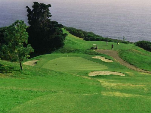 amityad43418420's profile picture. 