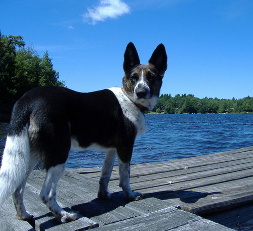 IAmBetsyC's profile picture. Was in #philly; happy to be back in #Mass.These tweets are my own.