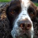 Christine Eames - @Eames110 - Twitter