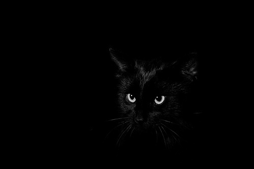 RobinYaman's profile picture. Sevgide güneş gibi ol, Dostluk ve kardeşlikte akarsu gibi ol..