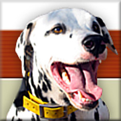 FlintRiverFood's profile picture. Discover the healthiest dog foods and cat foods -- Flint River Ranch all natural premium pet foods and treats from A+ Flint River Ranch