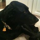 Beth Storm Rule - @bstormrule - Twitter