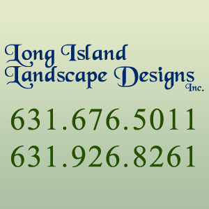 LiLandscapeD's profile picture. Long Island Landscape Designs provides exceptional design services to create a one of a kind outdoor space for you and your family.