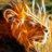 Leonardoaamirez's profile image