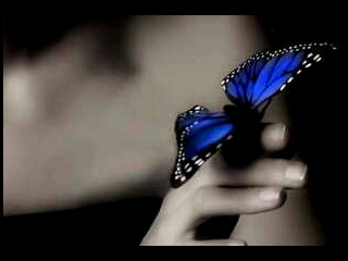 LARI2210's profile picture. 