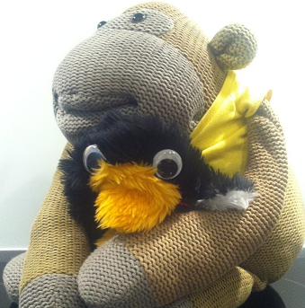I am Mr Flibble and I live with an ape. Is society ready for a penguin & a monkey? For more knitted character hijinks find @Flibblemonkey on Instagram!