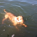 Mark Bolt - @MarkBolt3 - Twitter