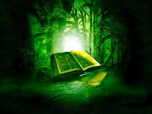 JamesPSaenz's profile picture. I love the Outdoors, Camping, Hiking, occasional Climbing, Backpacking & a good workout