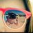 Thermo144's profile image