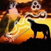شمر - الاسلم (@shmr_alaslam) 's Twitter Profile