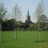 FriendsofStAndrews (@st_andrews_park) 's Twitter Profile