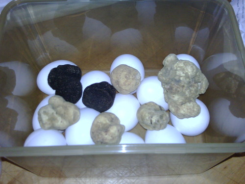 Kboss00's profile picture. 