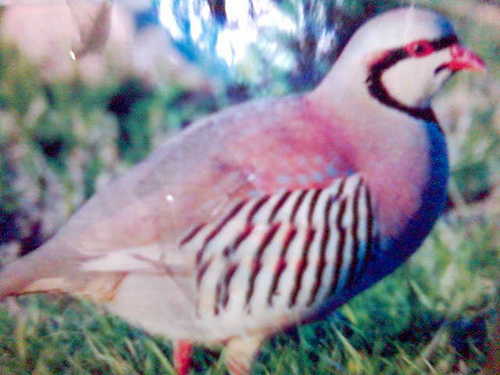 1070Shuhrat's profile picture. 